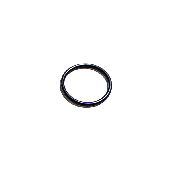 Cummins O-Ring Seal 3819871