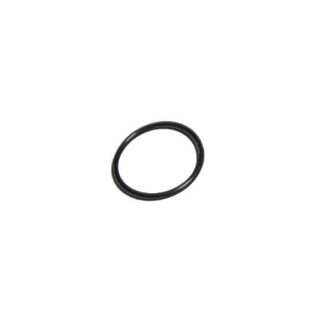 Cummins O-Ring - Water Pump Idler 145506