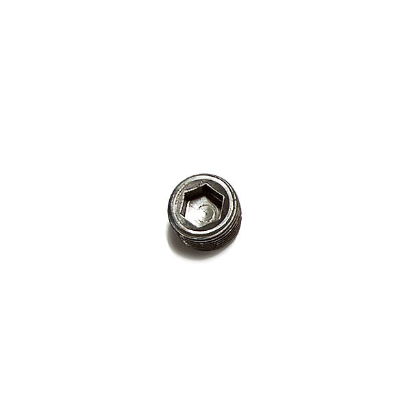 Cummins Pipe Plug S995