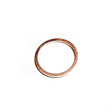 Cummins Plain Washer 3026156