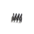 Cummins Plunger Spring 3054852