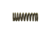 Cummins QSX Valve Spring 4965891
