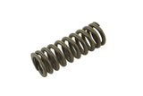 Cummins QSX Valve Spring 4965891