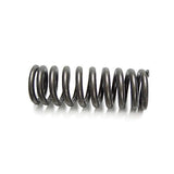 Cummins QSX Valve Spring 4965891