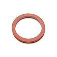 Cummins Rectangular Sealing Ring 207135