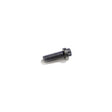 Cummins Screw M3028493