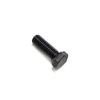 Cummins Screw MS113