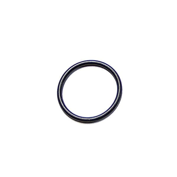 Cummins Seal Ring 145504