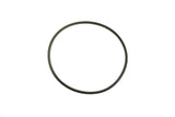 Cummins Seal Ring 3820945
