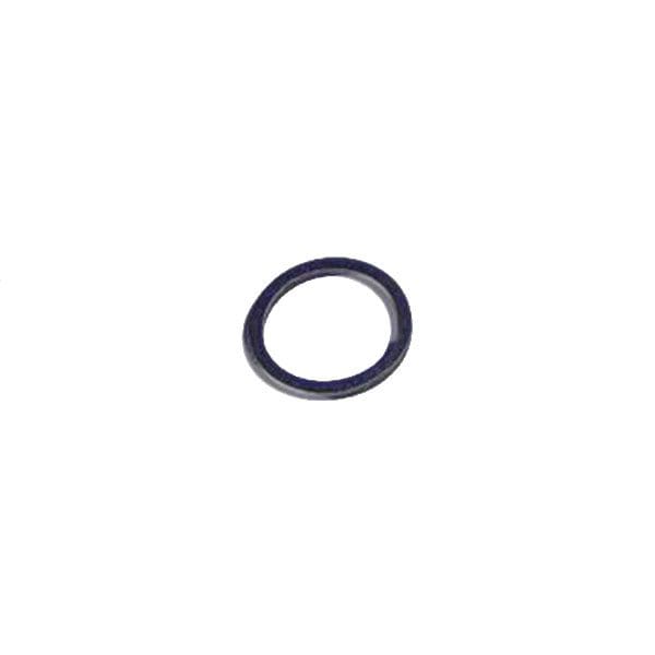 Cummins Seal Ring, Center JB1082