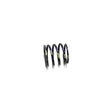 Cummins Spring 138796