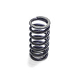 Cummins Spring - Natural Gas 90210010