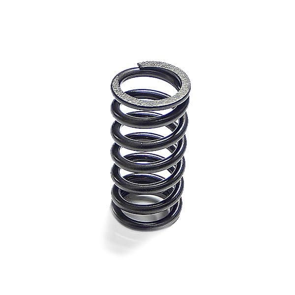 Cummins Spring - Natural Gas 90210010