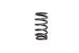 Cummins Spring - Valve Intake, 6B 3916691