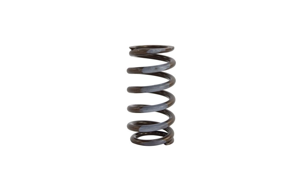 Cummins Spring - Valve Intake, 6B 3916691