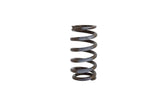 Cummins Spring - Valve Intake, 6B 3916691