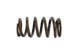 Cummins Spring - Valve Intake, 6B 3916691