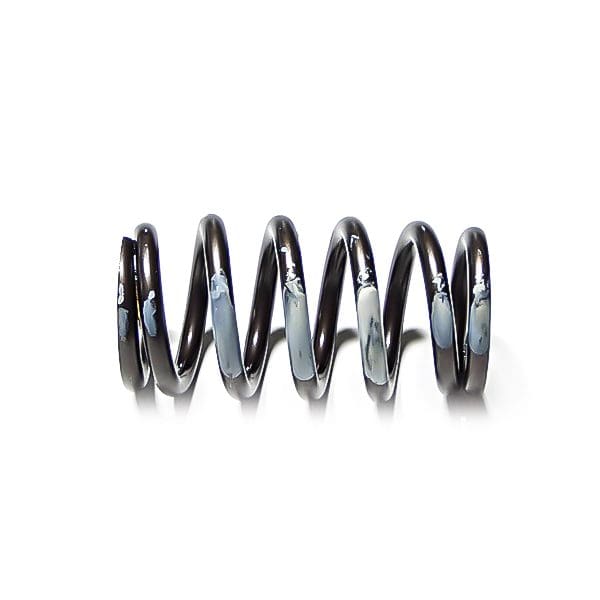 Cummins Spring - Valve Intake, 6B 3916691