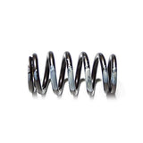 Cummins Spring - Valve Intake, 6B 3916691
