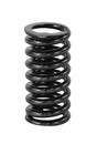 Detroit Exhaust Spring Valve 692012
