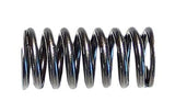 Detroit Exhaust Spring Valve 692012