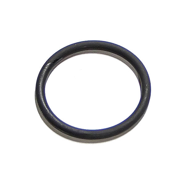 Detroit O-Ring 8920147