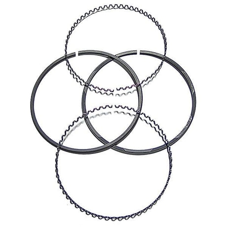 Detroit Oil Ring Set 5179836