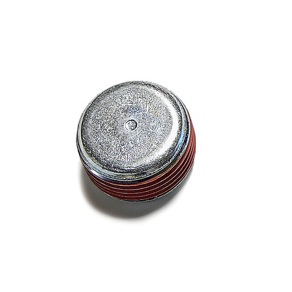 Detroit Pipe Plug 5142549