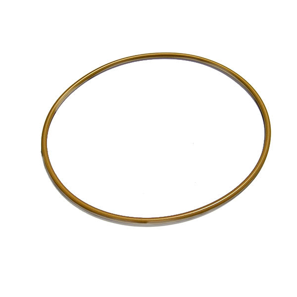 Detroit Series 60 12.7L, 14L, 11.1L Mounting O-Ring Seal 23526038
