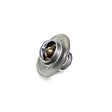 Detroit Thermostat 170 Degree 3041379