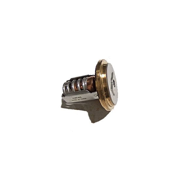 Detroit Thermostat 5172141