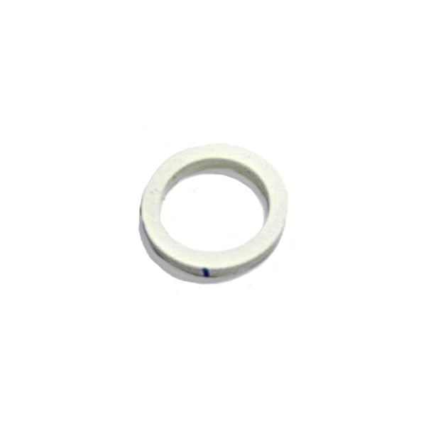 Detroit Water Hole Seal Ring 5186579